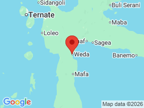 Map of Site Report: Weda, Indonesia
